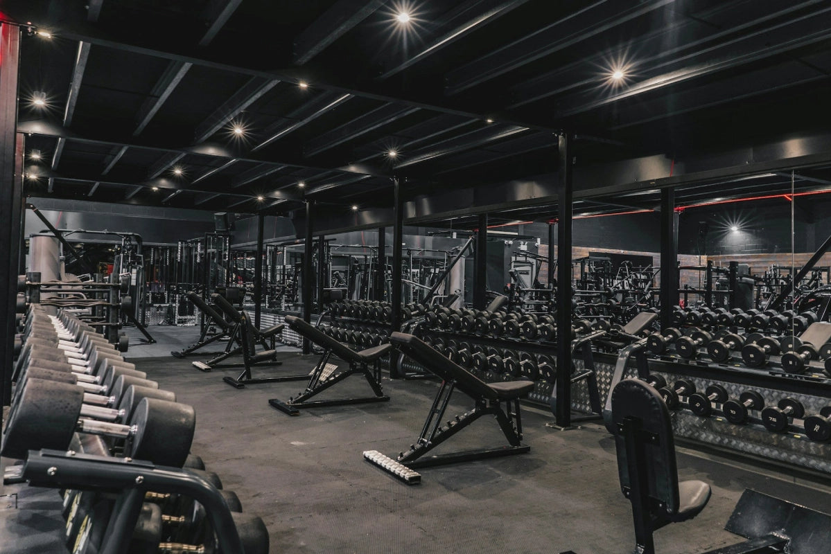Forge Flow & Fitness