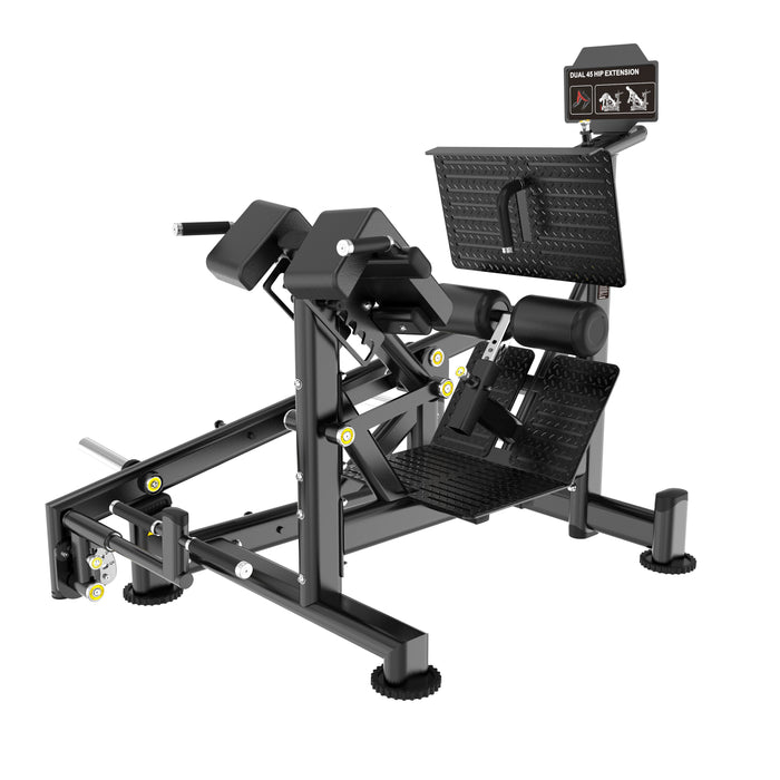 FS33 DUAL 45 HIP EXTENSION