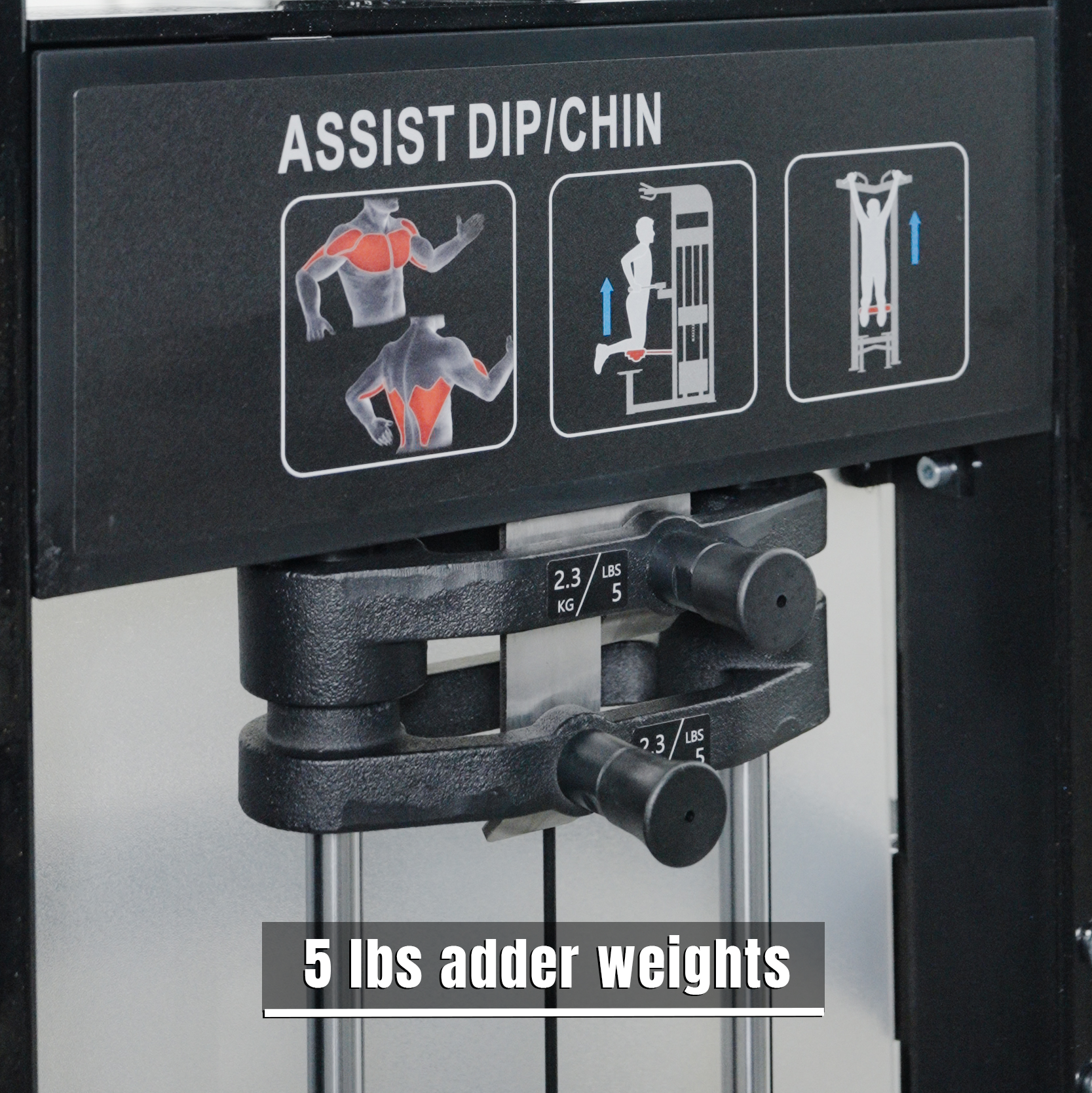 Close-up of a BefitNow Canada Dip/Chin Assist machine in a gym, displaying exercise guides, muscle targets, diagrams, and two 5 lb adder weights on the stack with both lbs and kg labels.
