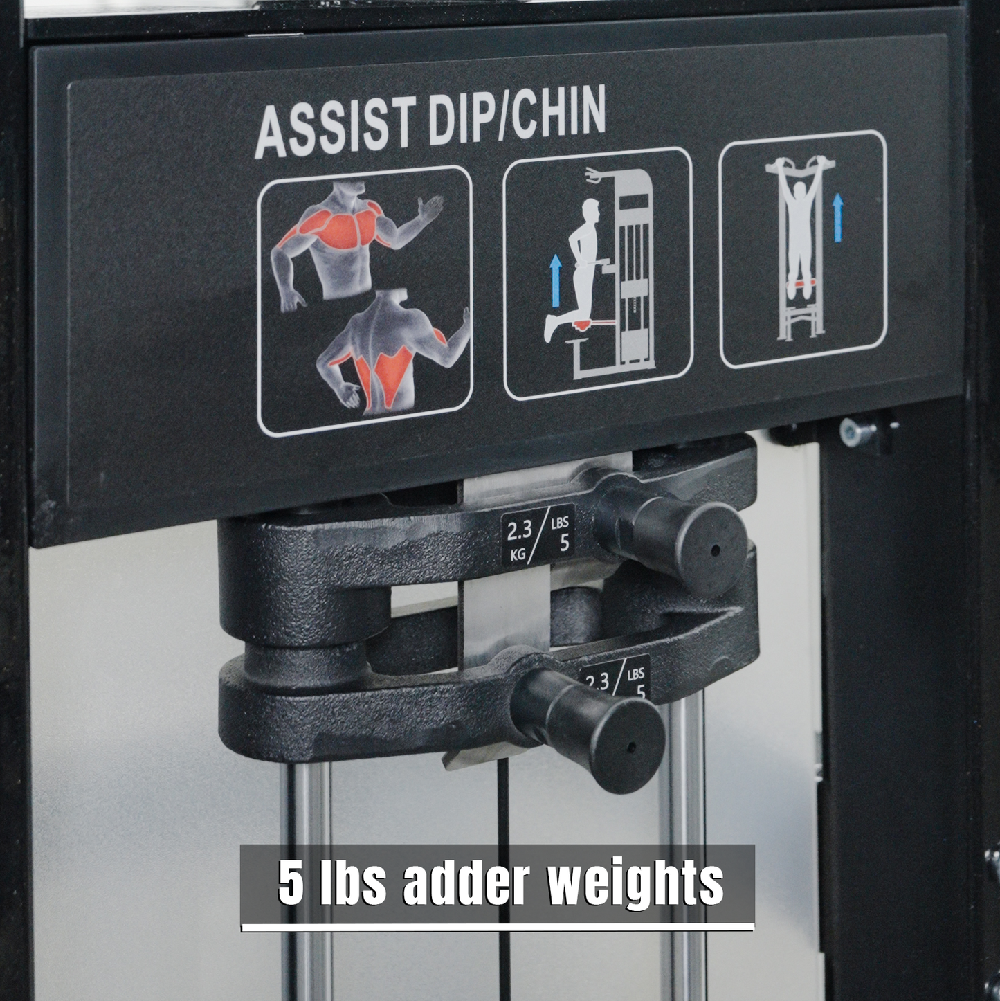 Close-up of a BefitNow Canada Dip/Chin Assist machine in a gym, displaying exercise guides, muscle targets, diagrams, and two 5 lb adder weights on the stack with both lbs and kg labels.