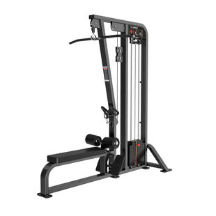 Lat Pulldown/Low Row