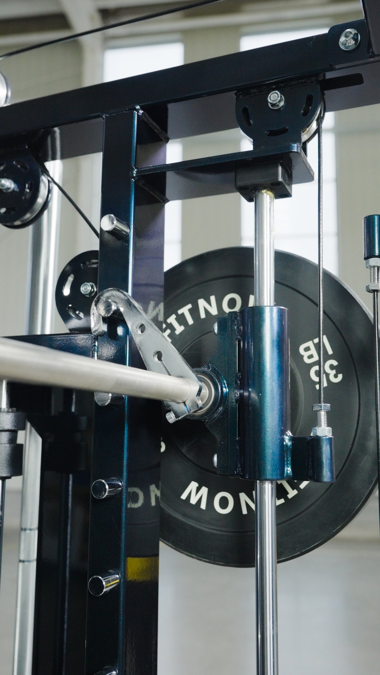 Close-up of The Professor by BefitNow Canada, a functional trainer gym machine with a metal bar, pulleys, cables, and a black 35 LB weight plate, set in a bright indoor space with large windows behind.