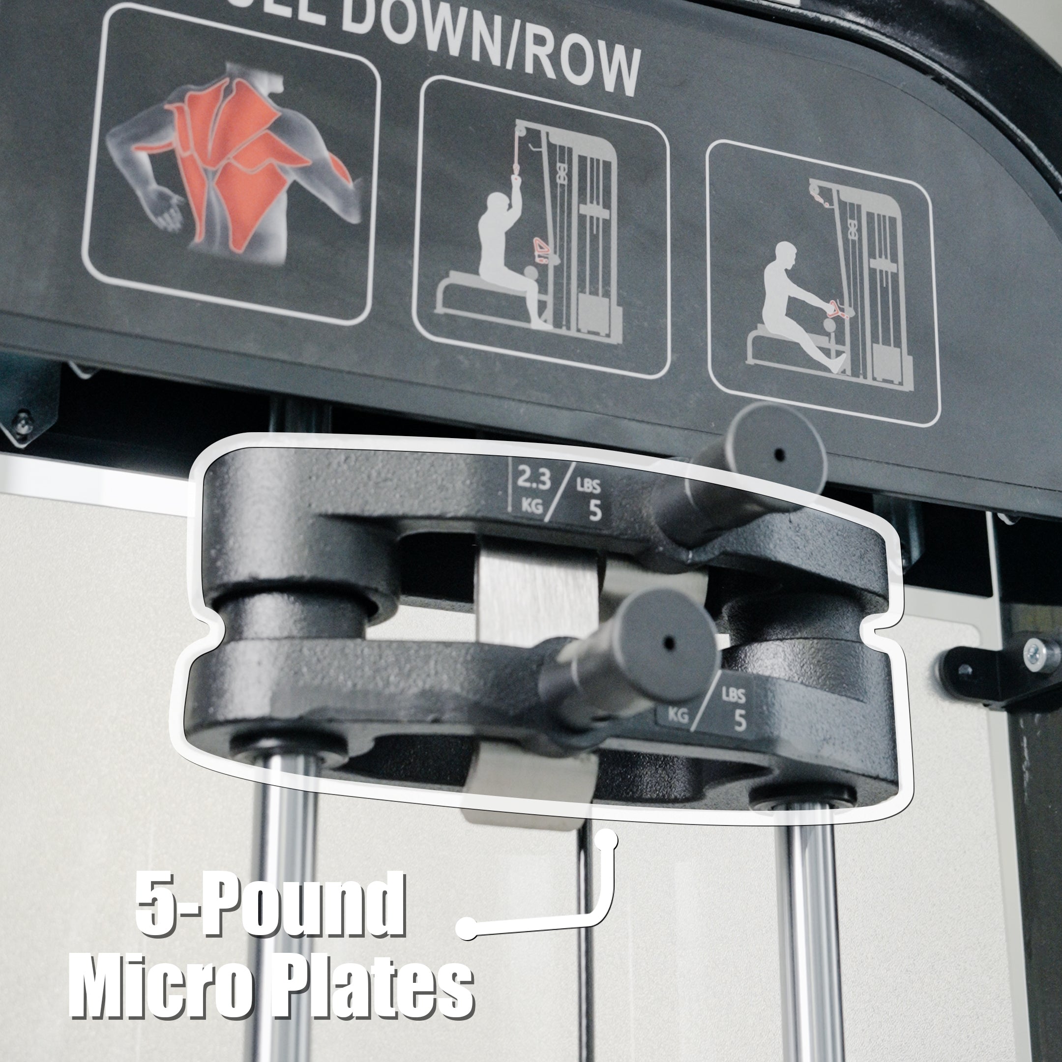 Close-up of a BefitNow Canada Lat Pulldown/Low Row with two 5-pound micro plates, featuring instructional and muscle diagrams. “5-Pound Micro Plates” is displayed on this commercial gym equipment.